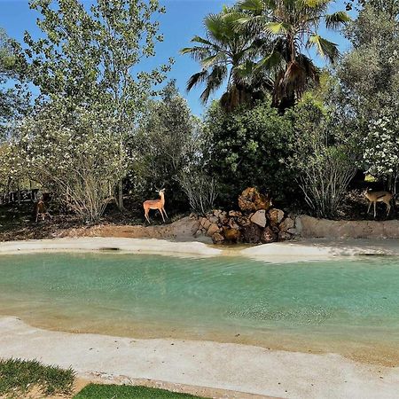 Parque Da Mina Ξενοδοχείο Monchique Εξωτερικό φωτογραφία