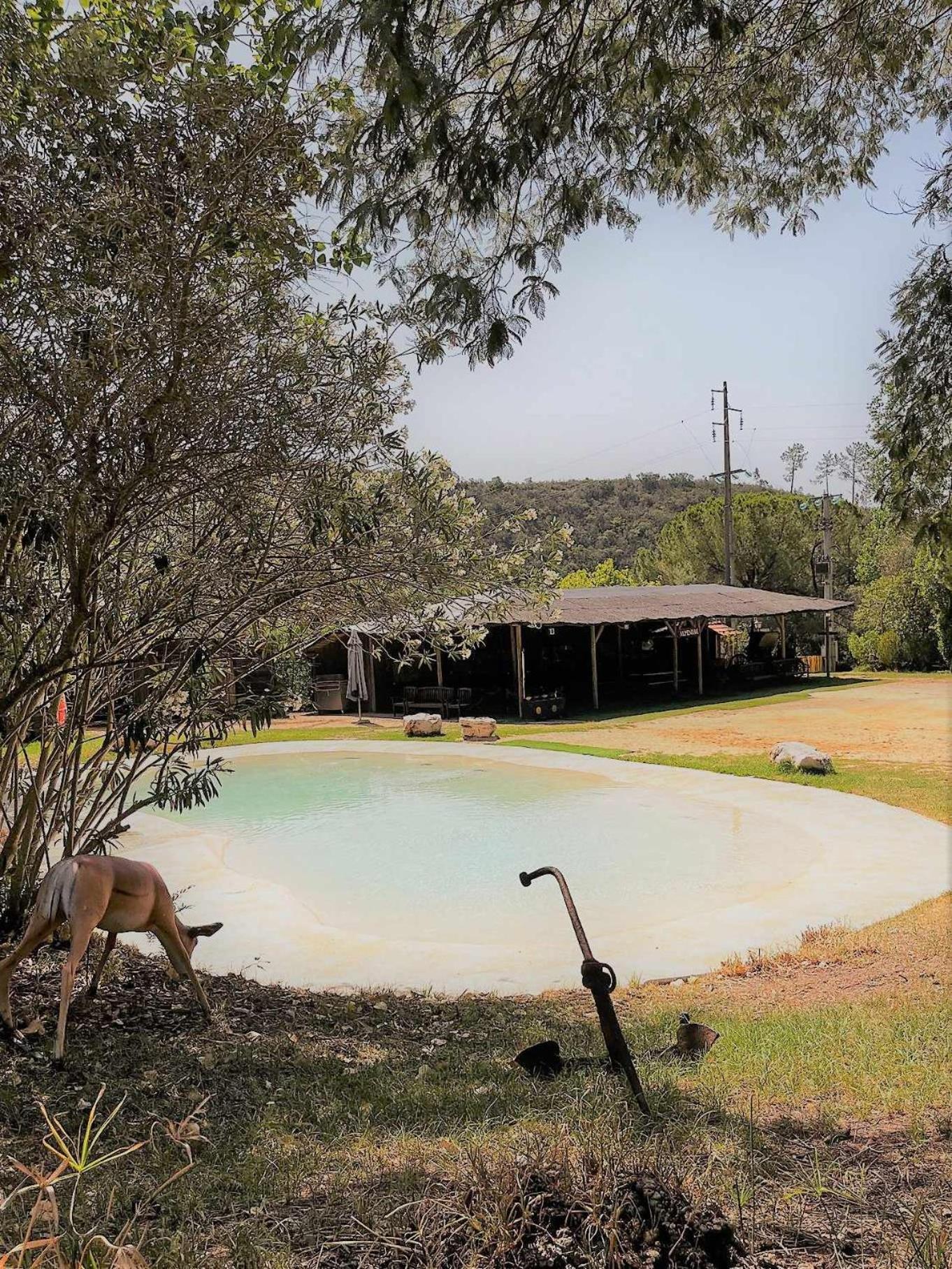 Parque Da Mina Ξενοδοχείο Monchique Εξωτερικό φωτογραφία